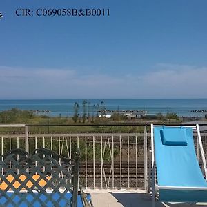 B&B Falcone